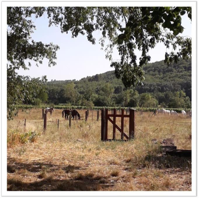 Charming Small House Close To Uzes Foissac  المظهر الخارجي الصورة